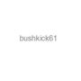 bushkick61