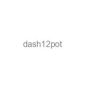 dash12pot